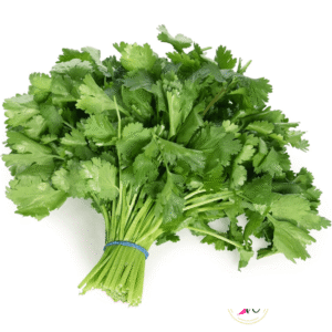 Fresh Coriander (फ्रेस धनियाँ)-1stk