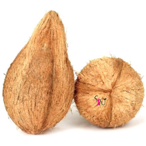 Coconut (जटा नरिवल) -1stk